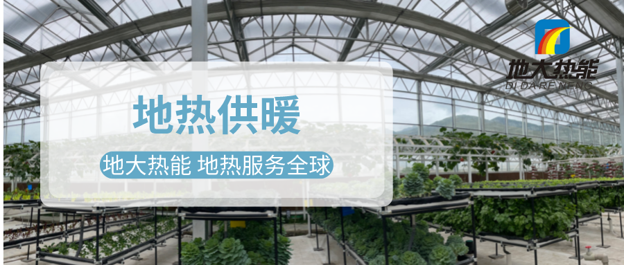 發(fā)揮地?zé)豳Y源優(yōu)勢(shì)，地?zé)徂r(nóng)業(yè)實(shí)現(xiàn)花卉產(chǎn)業(yè)特色發(fā)展 | 地大熱能 地?zé)岱?wù)全球